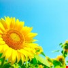 
健康宣導專欄 2019-07